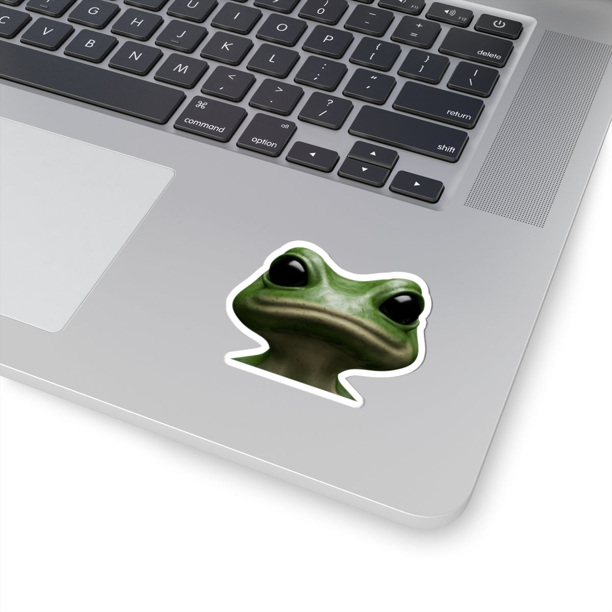 FROG STICKER